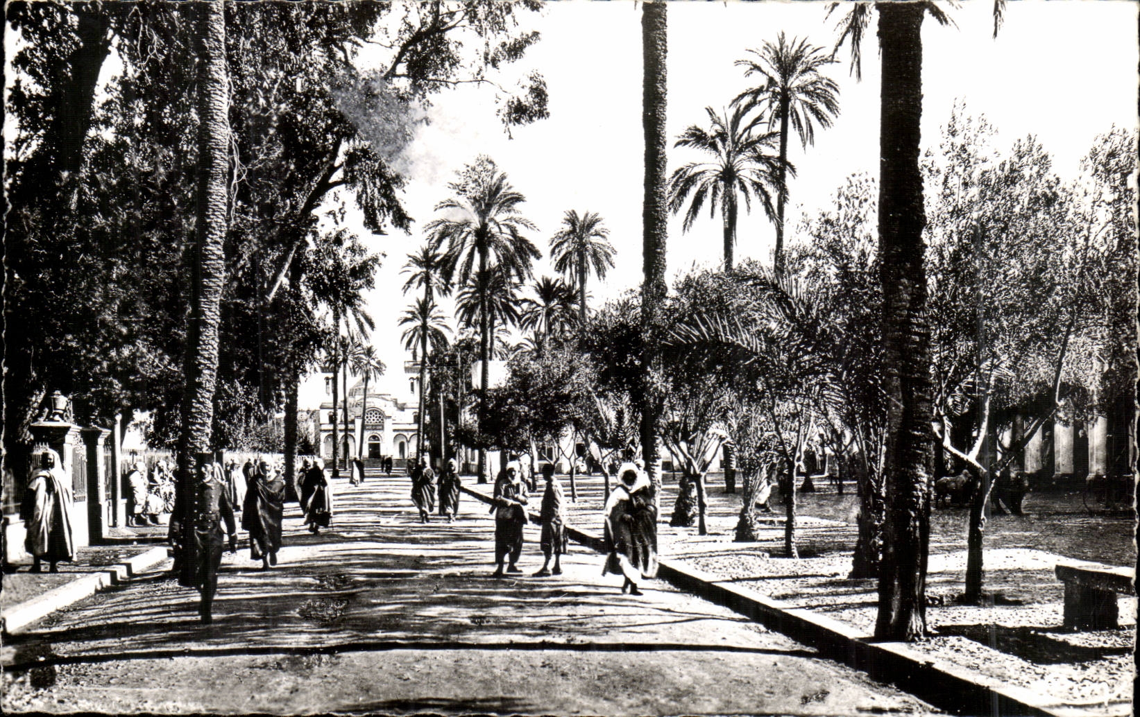 Laghouat (Sud Algérie) — Place des Oliviers et l'Église — Éd. Artémis Maccon