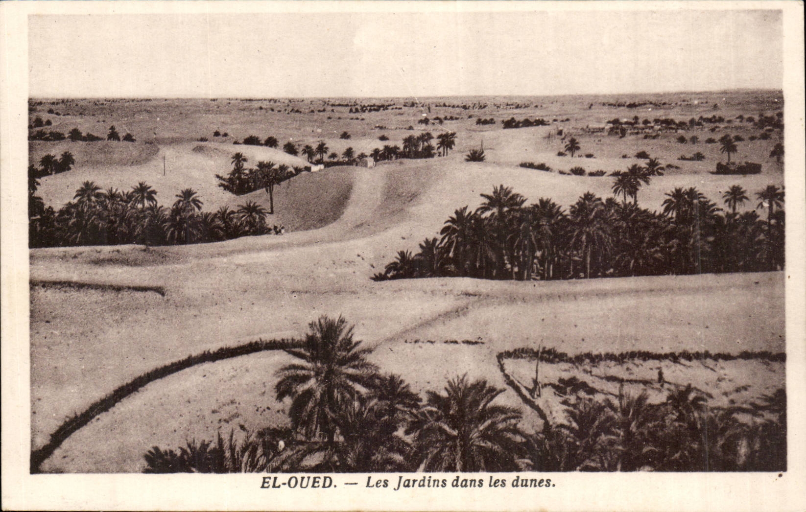 El-Oued — Les Jardins dans les dunes — Édité par l'Hôtel des Dunes