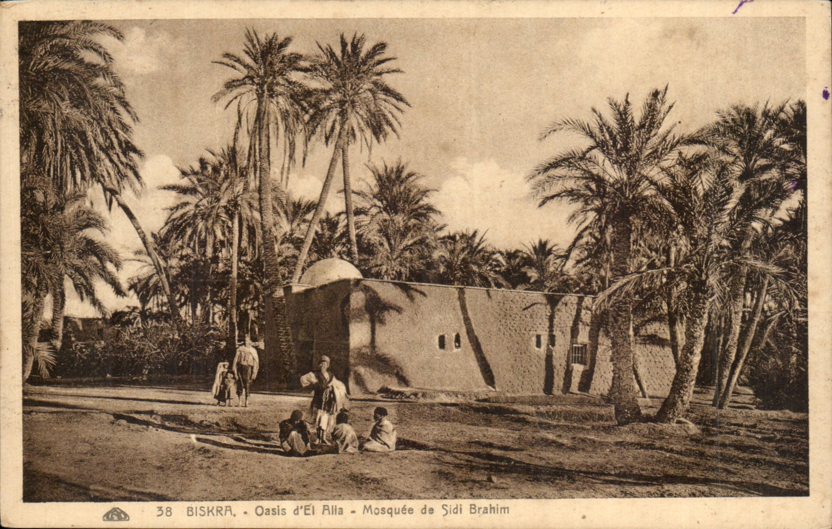 Biskra - Oasis d'El Allia - Mosquée de Sidi Brahim — Maison René Msélati
