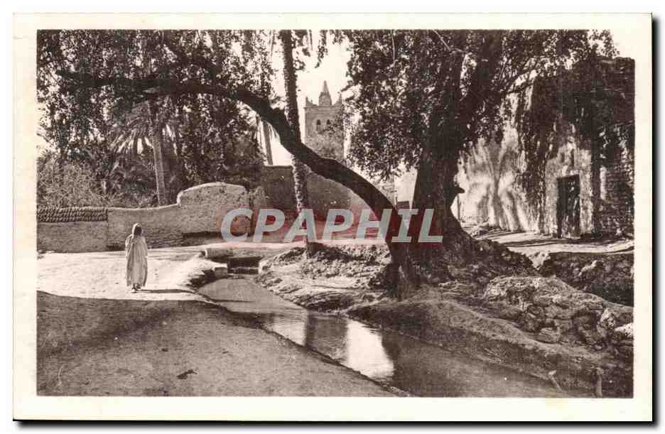 Algerie CPA Biskra La mosquee de Sidi Maleck a travers les arbres