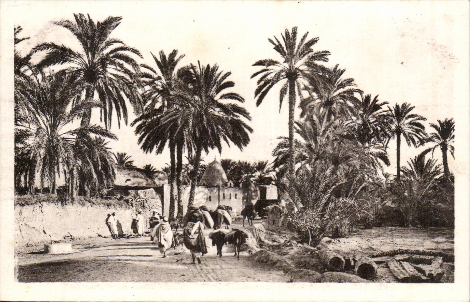 Algerie CPA Biskra Marabout de Sidi Lhassen