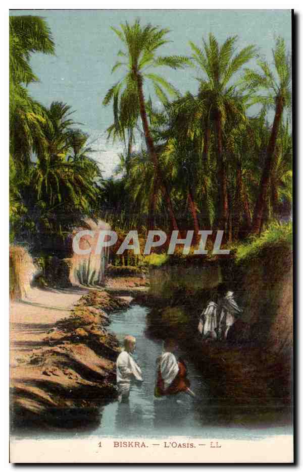Constantine - Algerie - Algeria - Afrique - Africa - Biskra - L'Oasis - CPA 