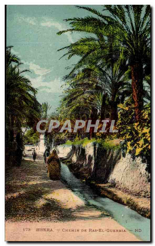 Constantine - Algerie - Algeria - Afrique - Africa - Biskra - Chemin de bas el Gueria - CPA 