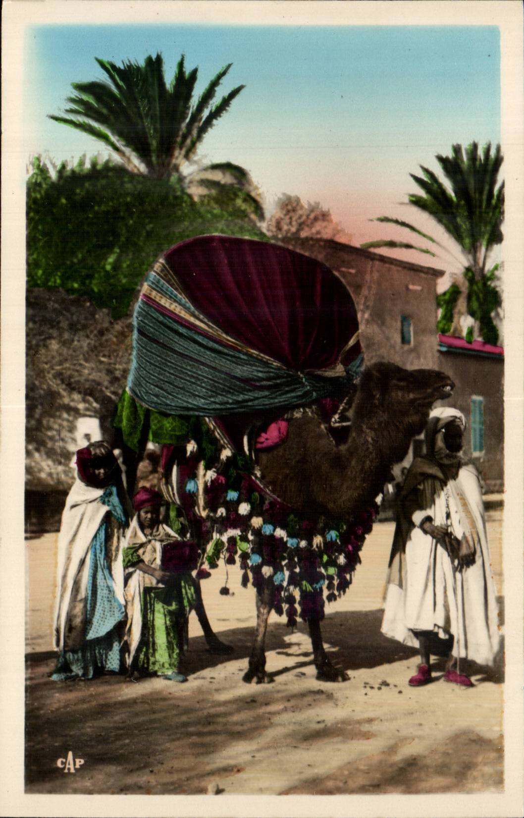 Constantine - Algerie - Algeria - Afrique - Africa - Biskra - Un Basour - chameau - camel - CPA 