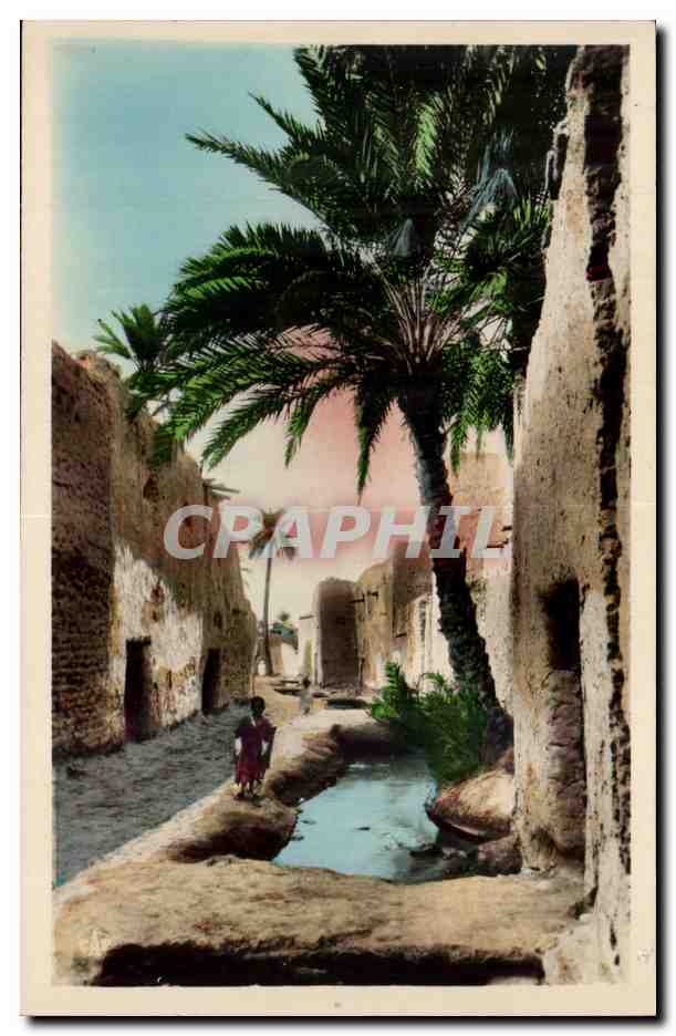 Constantine - Algerie - Algeria - Afrique - Africa - Biskra - Vieux Biskra - Une Rue de Bab Darb - CPA 