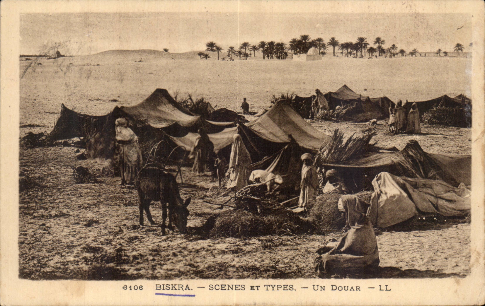 Constantine - Algerie - Algeria - Afrique - Africa - Biskra - Scenes et Types - Un Douar - CPA 