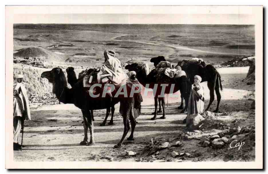 Constantine - Algerie - Algeria - Afrique - Africa - Biskra - halte au Col de sfa - CPA 