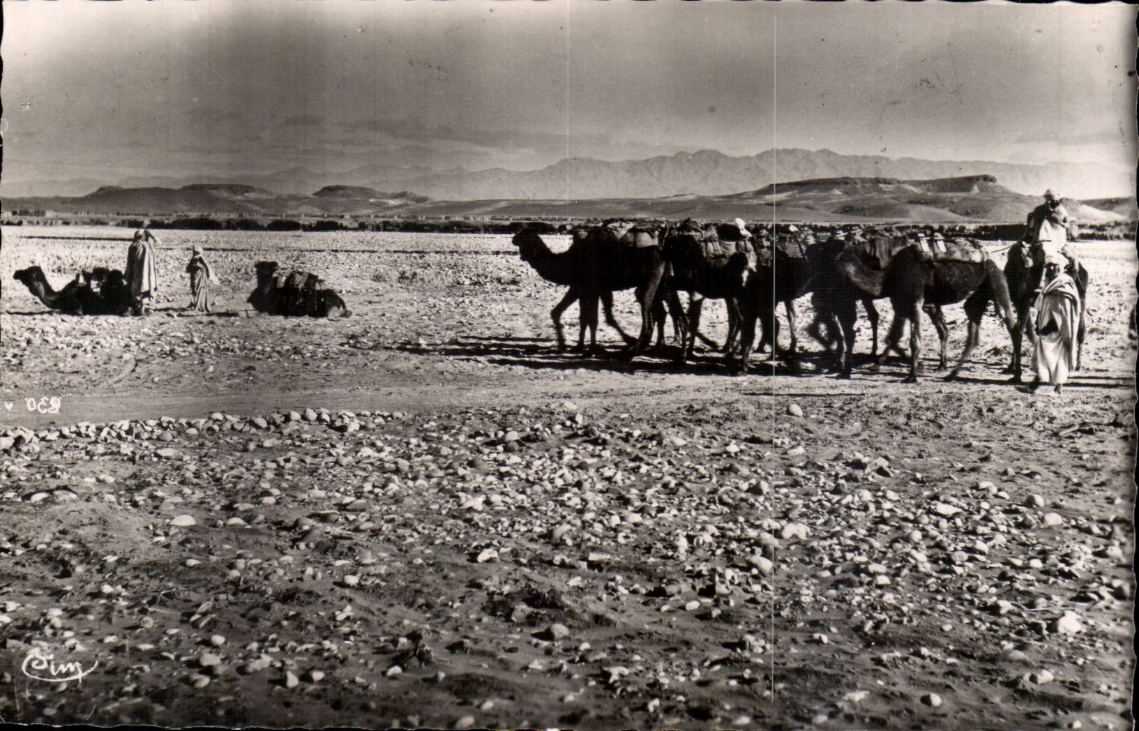 Biskra (Constantine) — Caravane dans l'Oued — Cimy