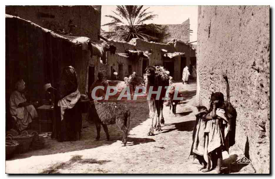 Sidi Okba — Une Rue — Edition Photo Phaéron, Biskra