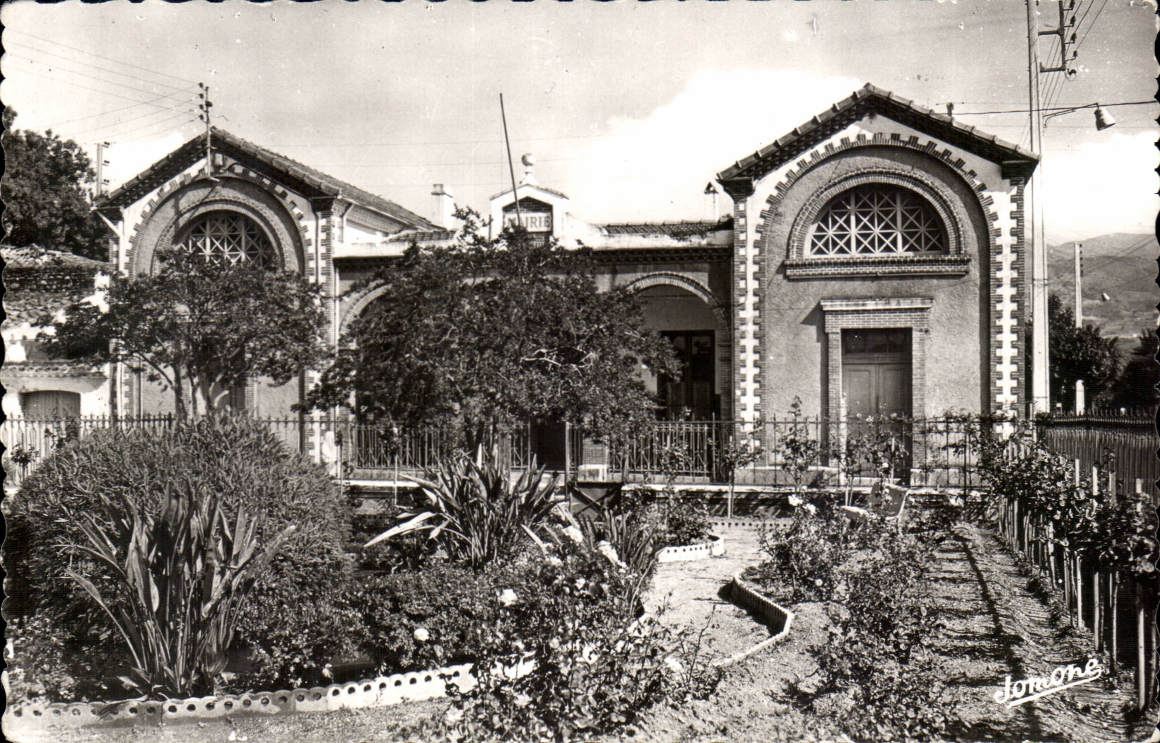Algerie - Afrique - Rovigo - La Mairie Centre du Village - CPA 