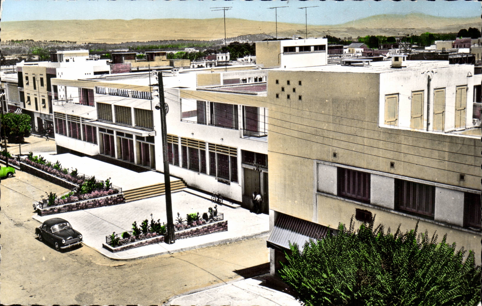 Algerie - Afrique - Orleansville - Les P T T - CPA 