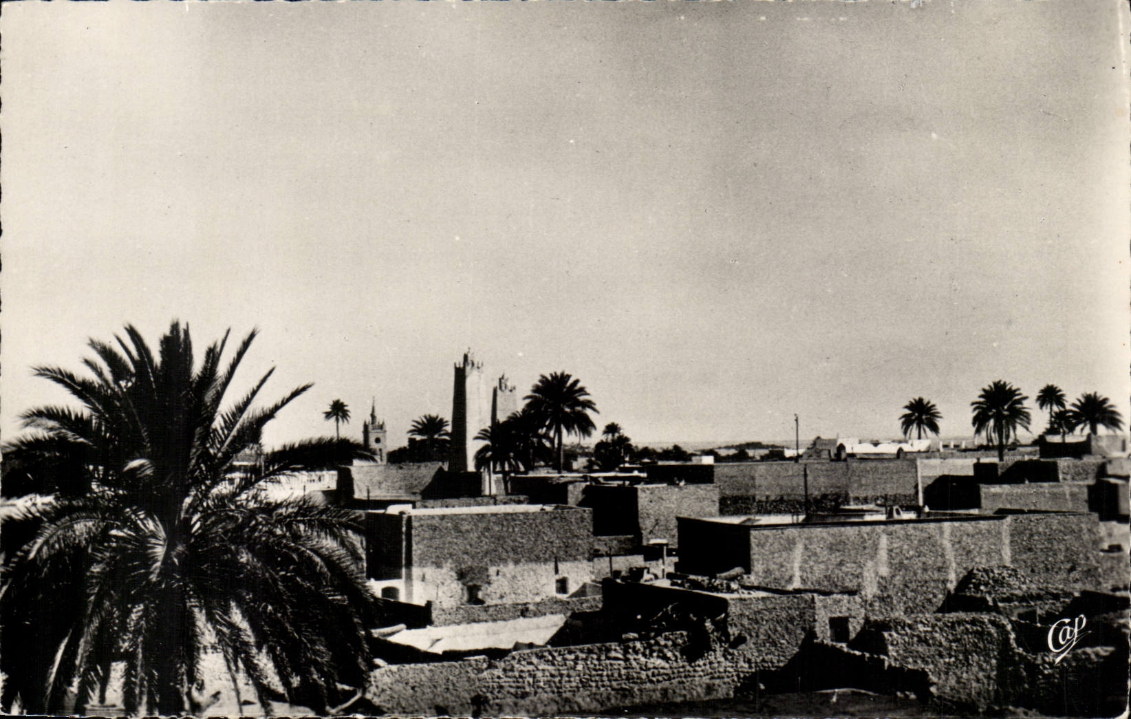 Algerie - Afrique - Ouargia - Vue Generale sur les Mosquees - CPA 