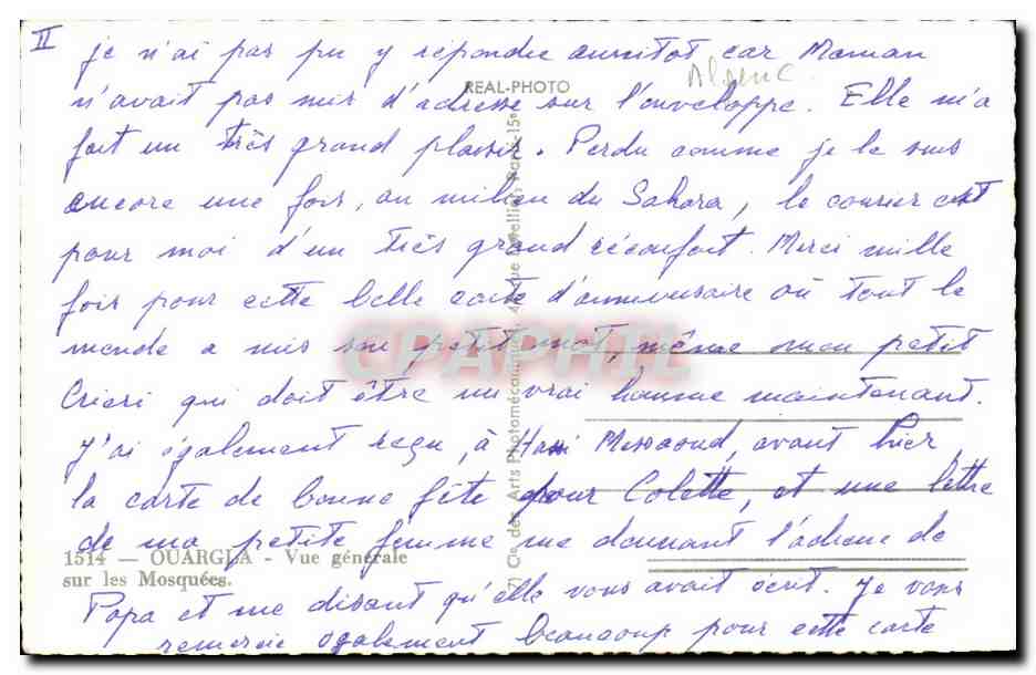 Algerie - Afrique - Ouargia - Vue Generale sur les Mosquees - CPA  — Back