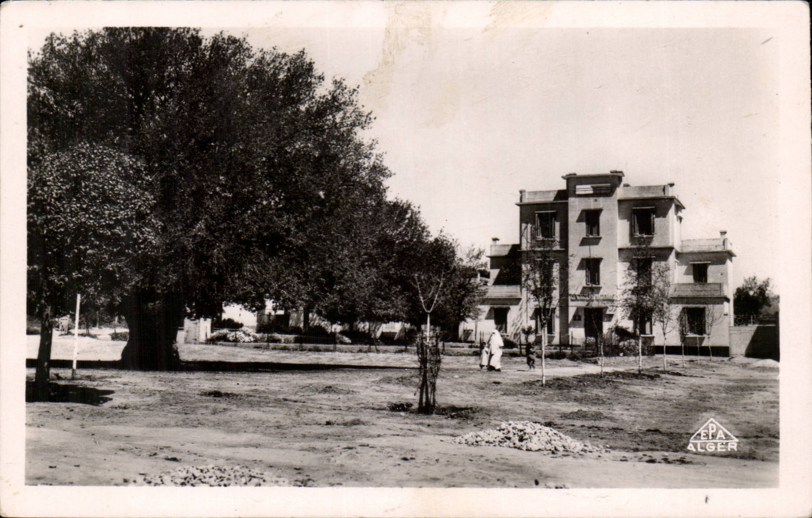 Algerie - Afrique - Mercier Lacombe - Gendarmerie et l'Arbre de Fer - CPA 