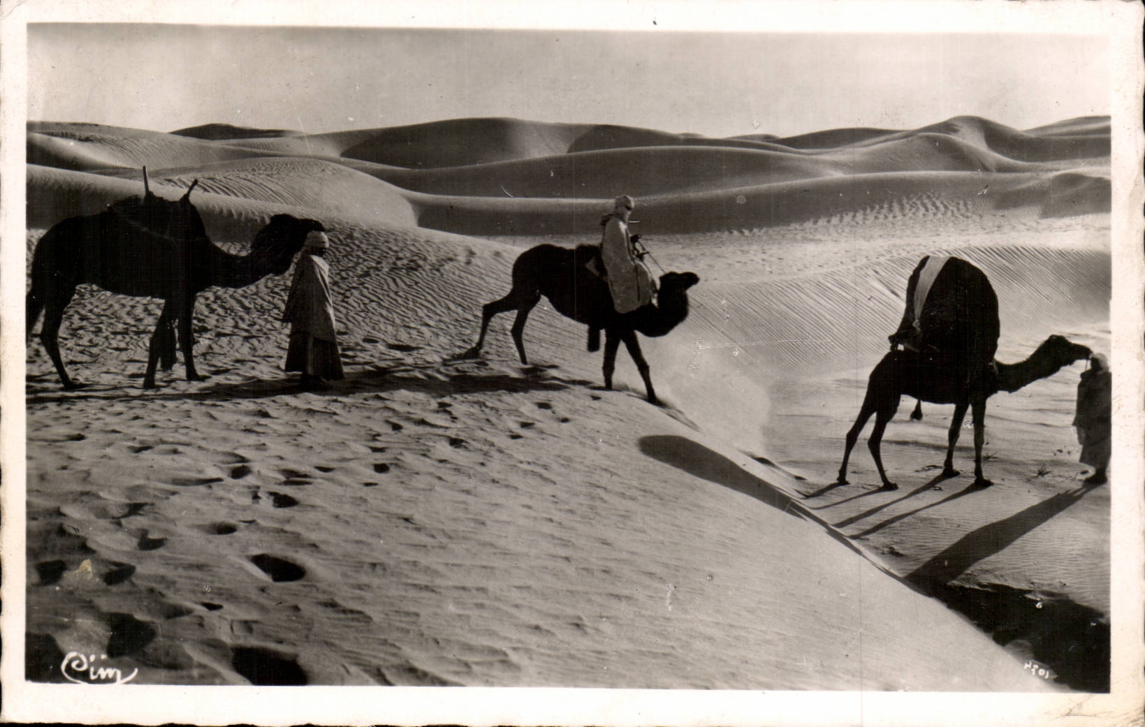 Dunes de Biskra — Algérie — éditeur Cim, n° NTOI