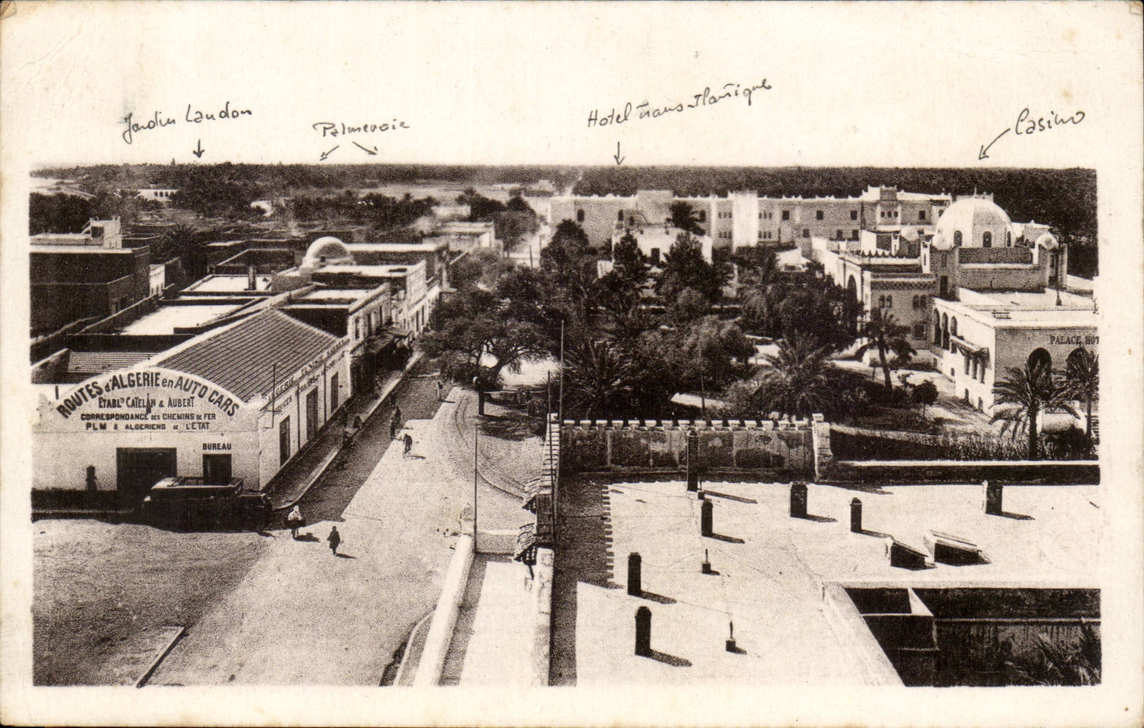 Biskra — Vue Générale sur la Palmeraie — Routes d'Algérie en Auto Cars & Editeur LL.186