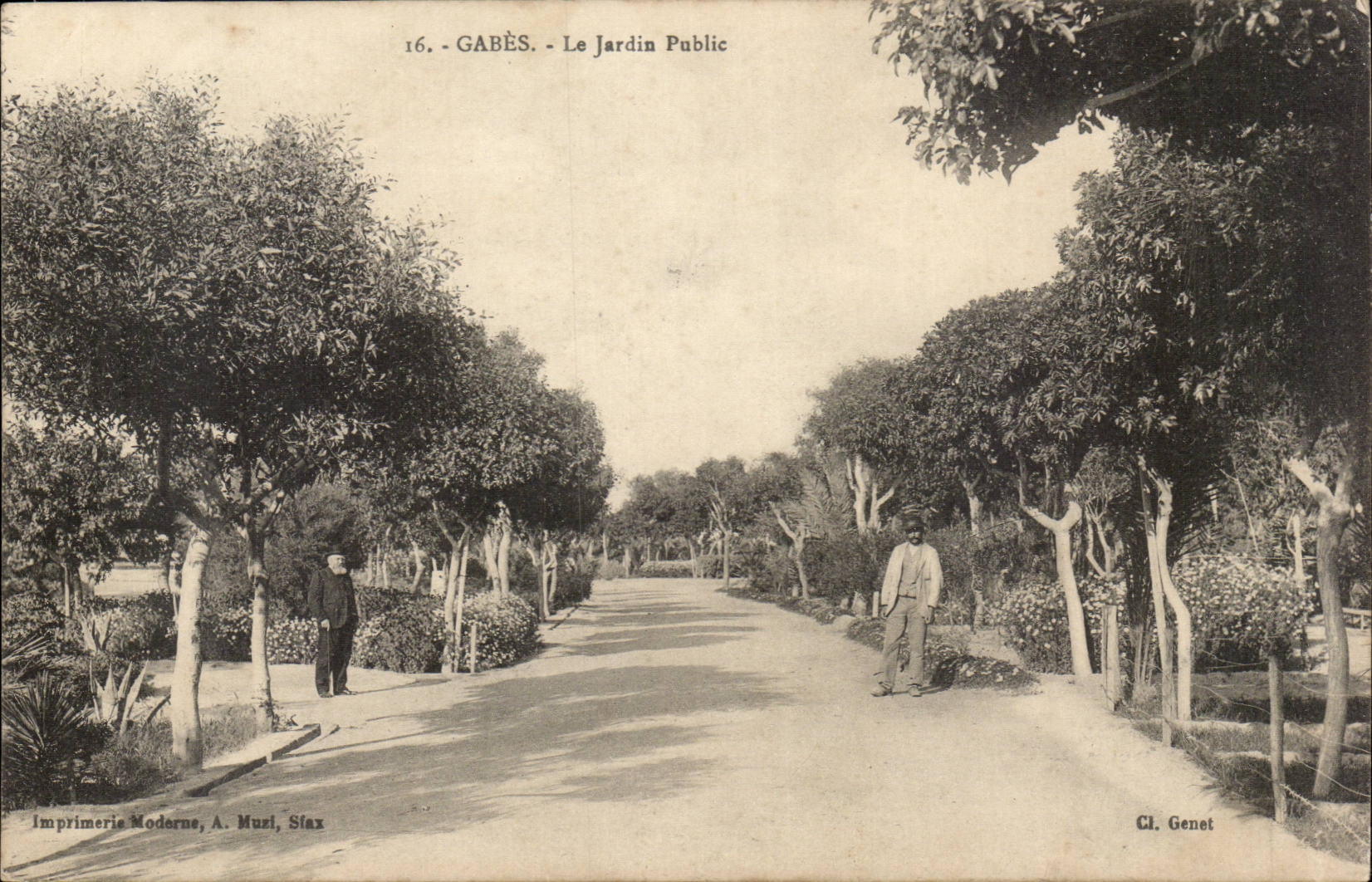 Algerie Gabes CPA Le jardin public