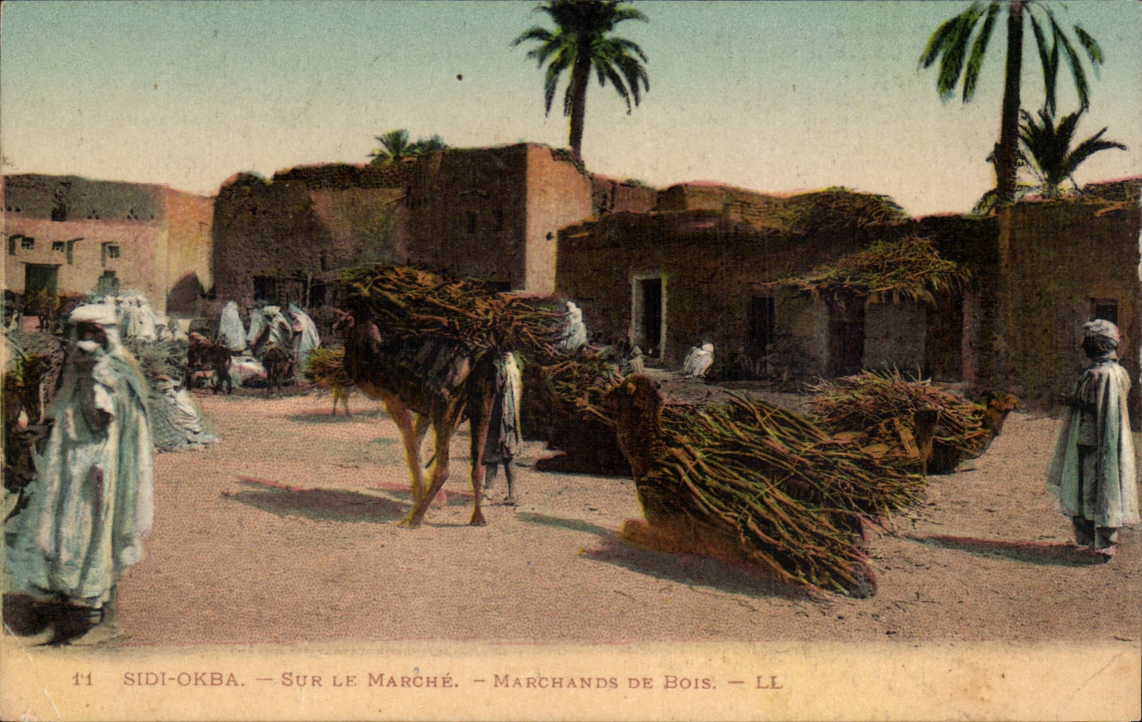 Algerie CPA Sidi Okba Sur le marche Marchands de bois