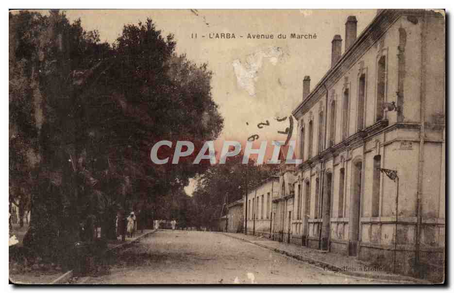 Algerie CPA L'Arba Avenue du marche