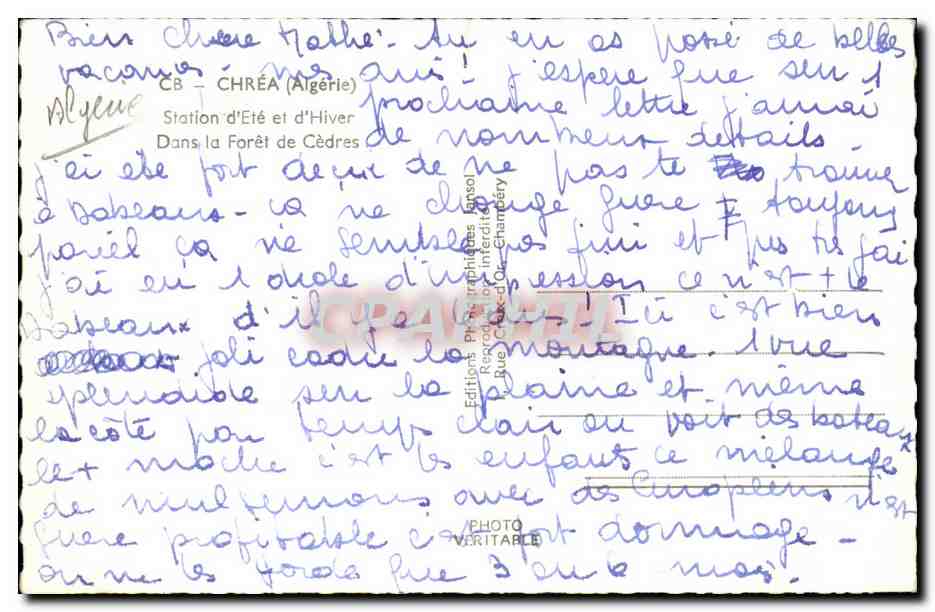 Algerie CPA Chrea Station d'ete et d'hiver dans la foret de cedres — Verso