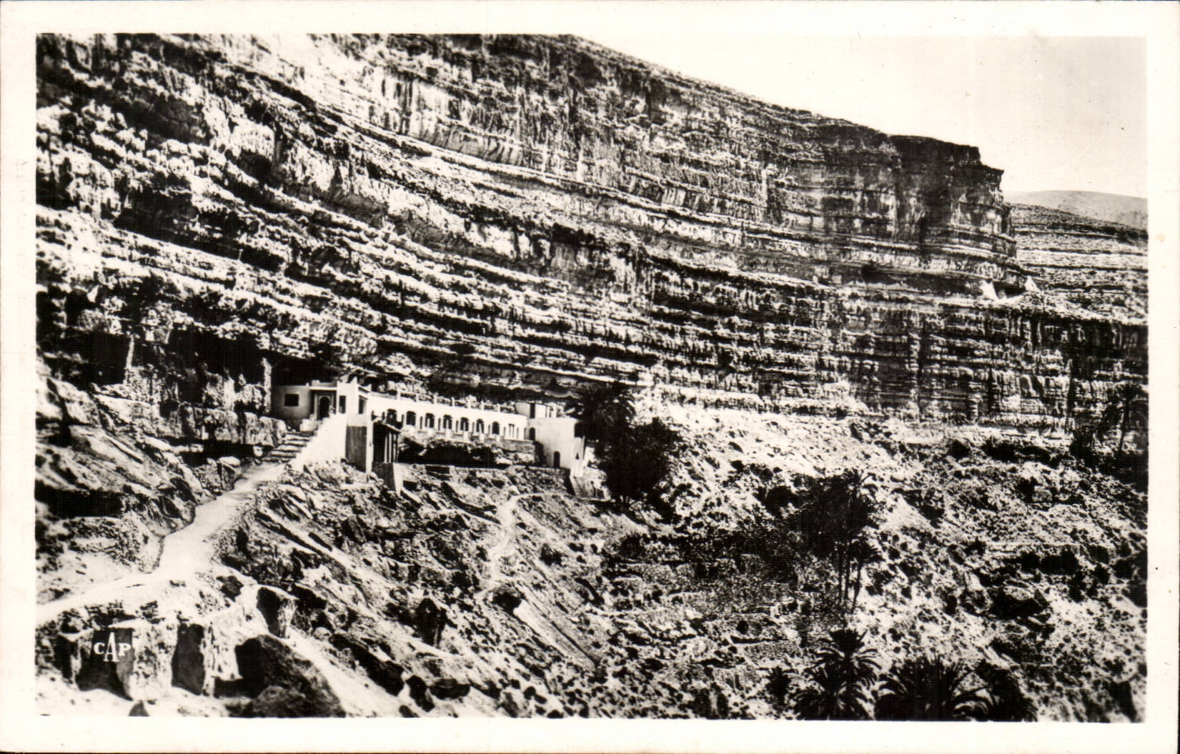 Oasis de Rhoull - Hôtel Transatlantique — L'AURÉS, Env. de BISKRA — C.A.P. (49)
