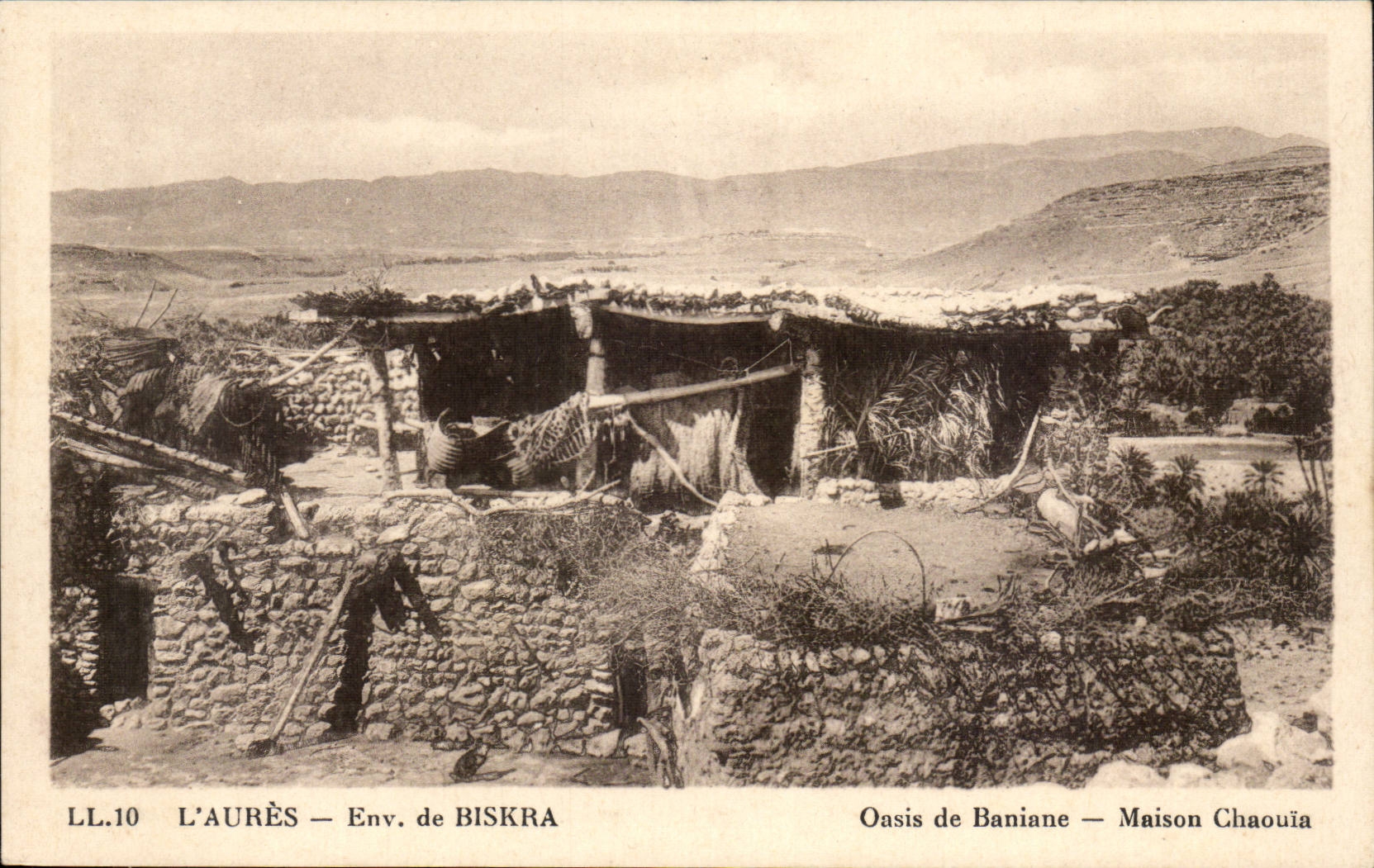 Algerie CPA L'Aures Environs de Biskra Oasis de Baniane Maison Chaoula