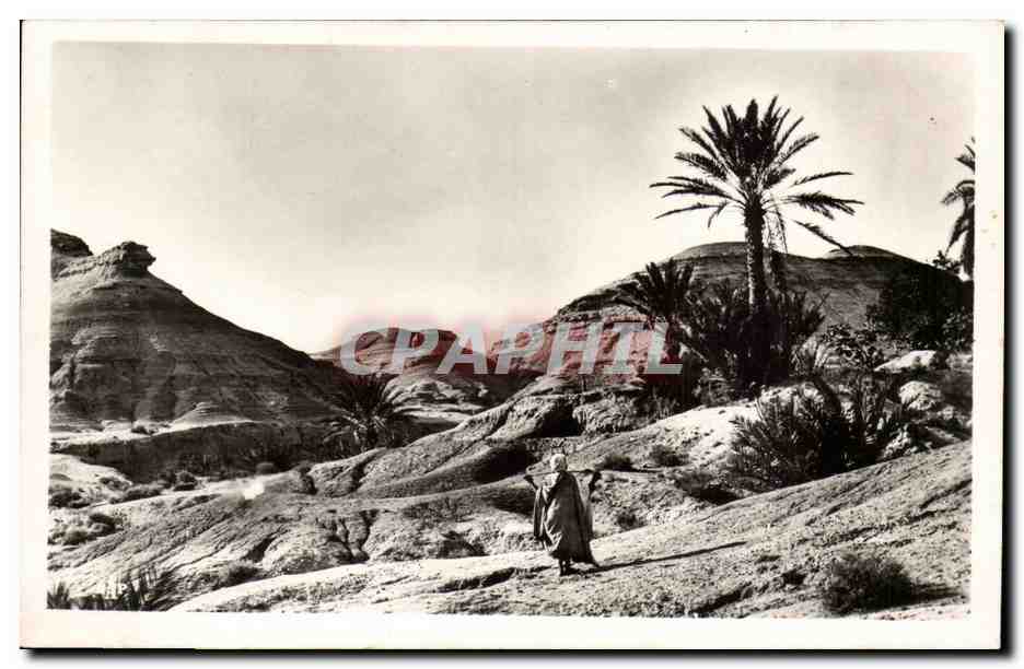 Algerie CPA L'Aures Environs de Biskra Oasis de M Chouneche Paysage d'erosion de M Chouneche