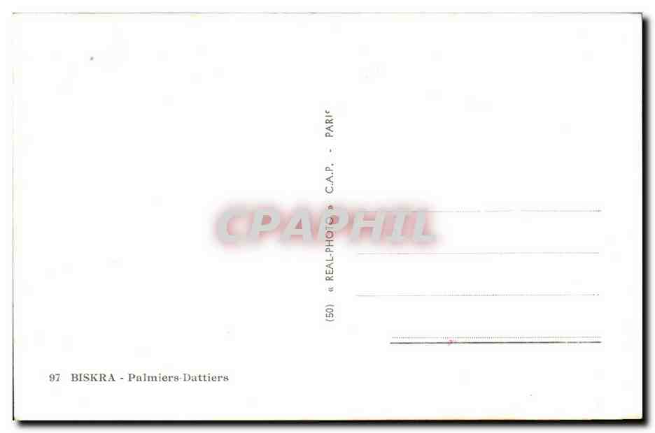 Biskra - Palmiers-Dattiers — (50) — C.A.P. — PARIS — Rückseite