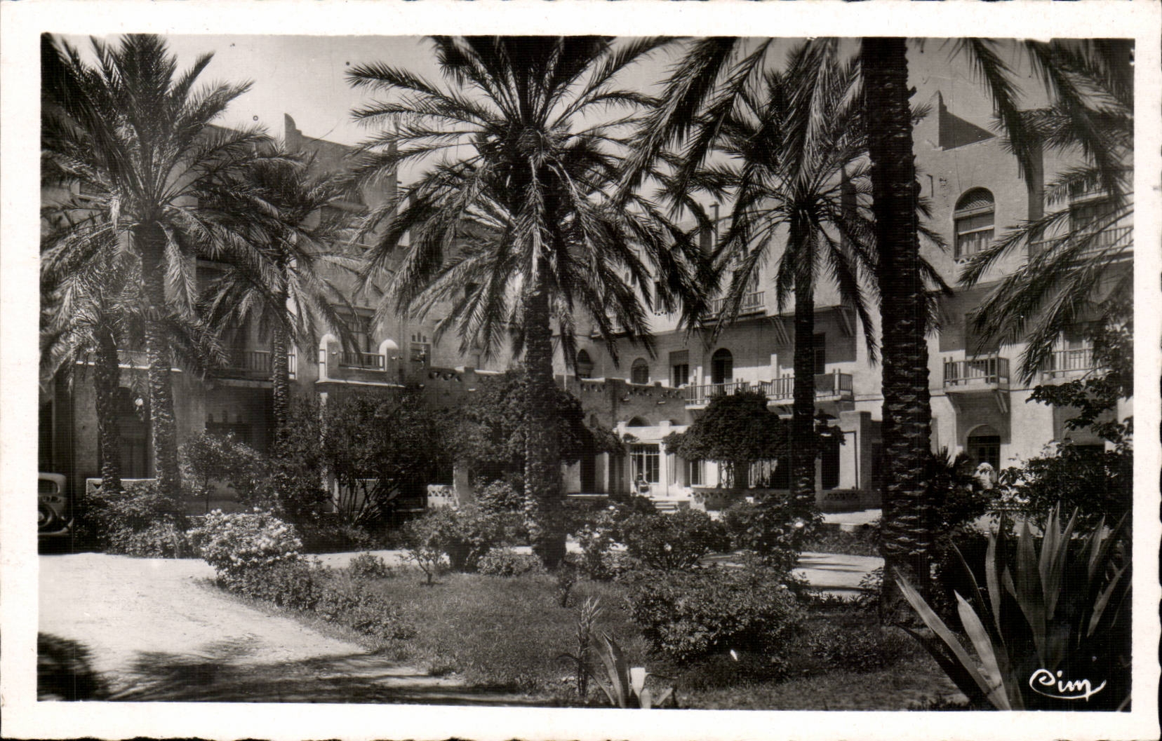 Biskra (Constantine) — Jardin de l'Hôtel Transatlantique — Photo Guntrier Wacon