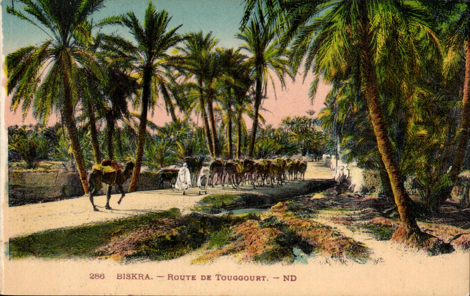 Algerie Biskra Constantine CPA Route de Touggourt