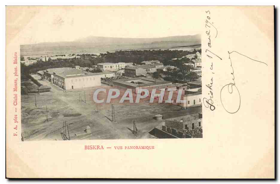 Algerie CPA Biskra Constantine Vue panoramique