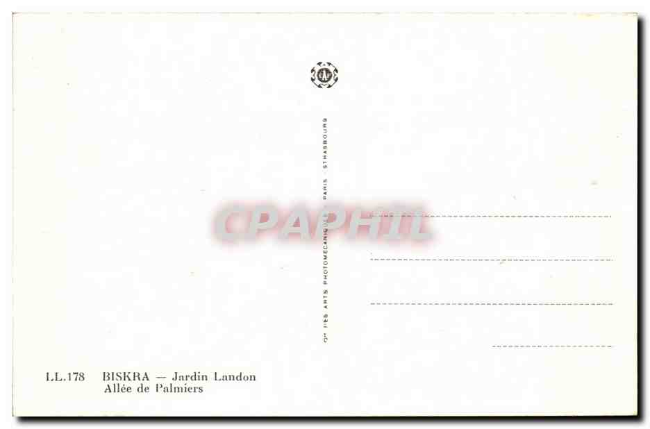 Biskra — Jardin Landon — Allée de Palmiers — Verso