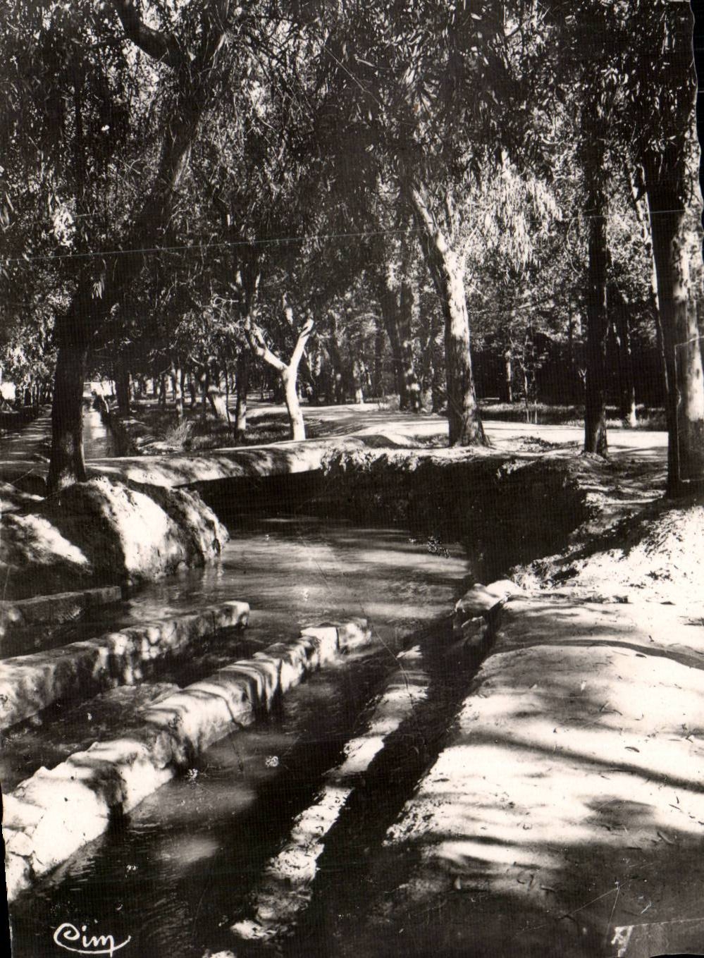 Biskra (Constantine) — Une Séguia — Photo Charles Macor