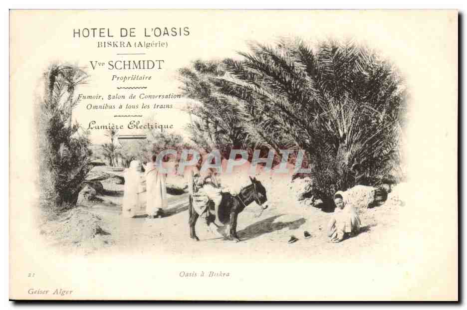Oasis à Biskra — Hotel de l'Oasis, Biskra (Algérie) — Geiser Alger
