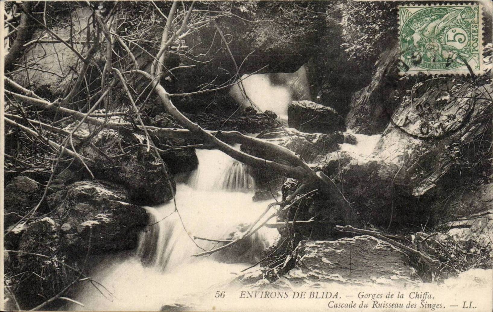 Algerie CPA Environs de Blida Gorges de la Chiffa Cascade du ruisseau des singes
