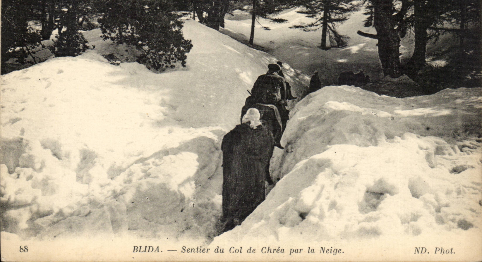 Algerie CPA Blida Sentier du col de Chrea par la neige