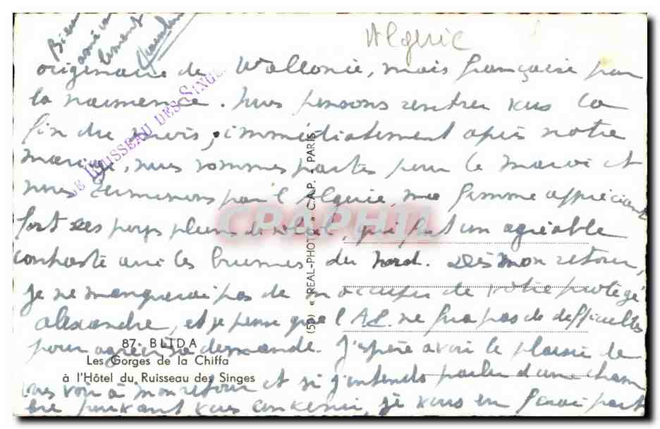 Les Gorges de la Chiffa — Hôtel du Ruisseau des Singes — éditeur CAP, n° 87 — Verso