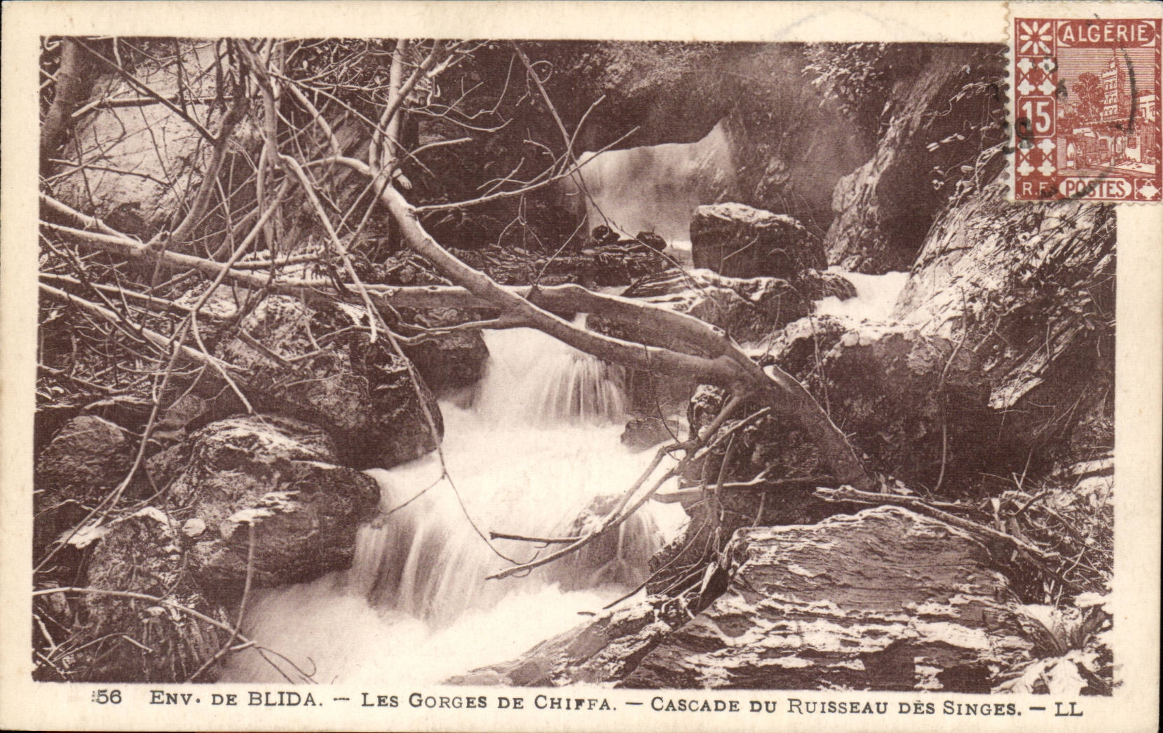 Algerie CPA Environs de Blida Gorges de la Chiffa Cascade du ruisseau des singes