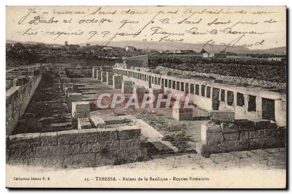 Algerie CPA Tebessa Ruines de la basilique Ecuries romaines