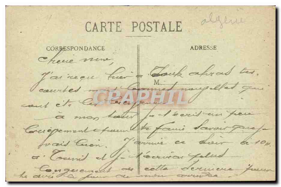 Algerie CPA Tebessa Ruines de la basilique Ecuries romaines — Verso