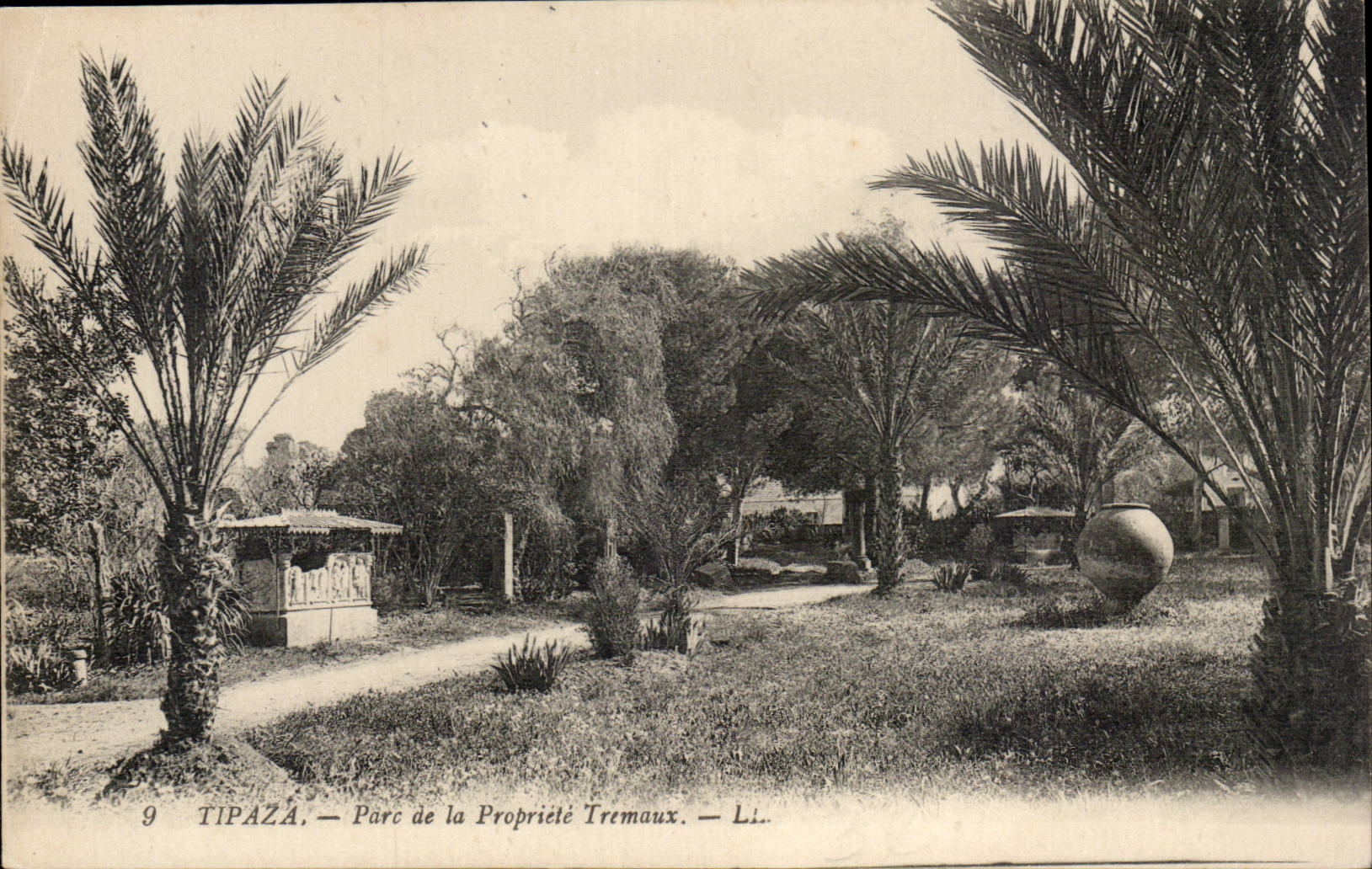 Algerie CPA Tipaza Parc de la Propriete Tremeaux