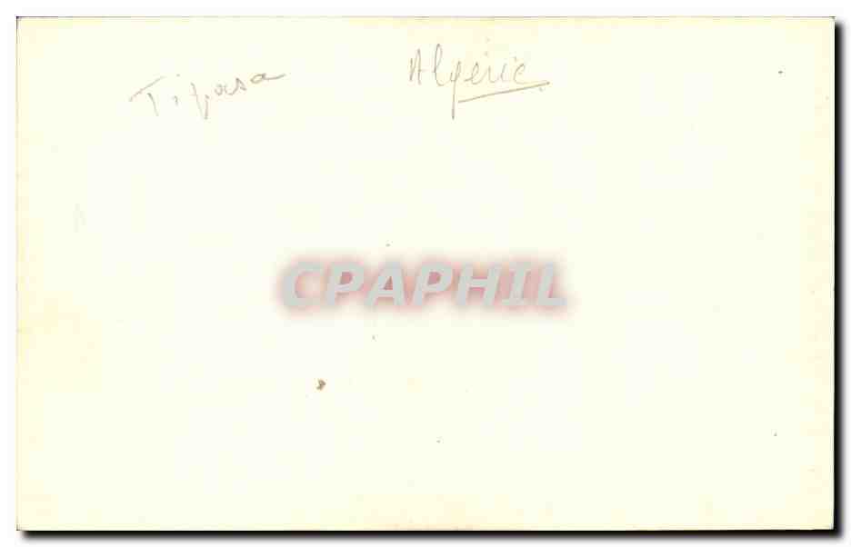 Algerie CPA Tipasa — Rückseite