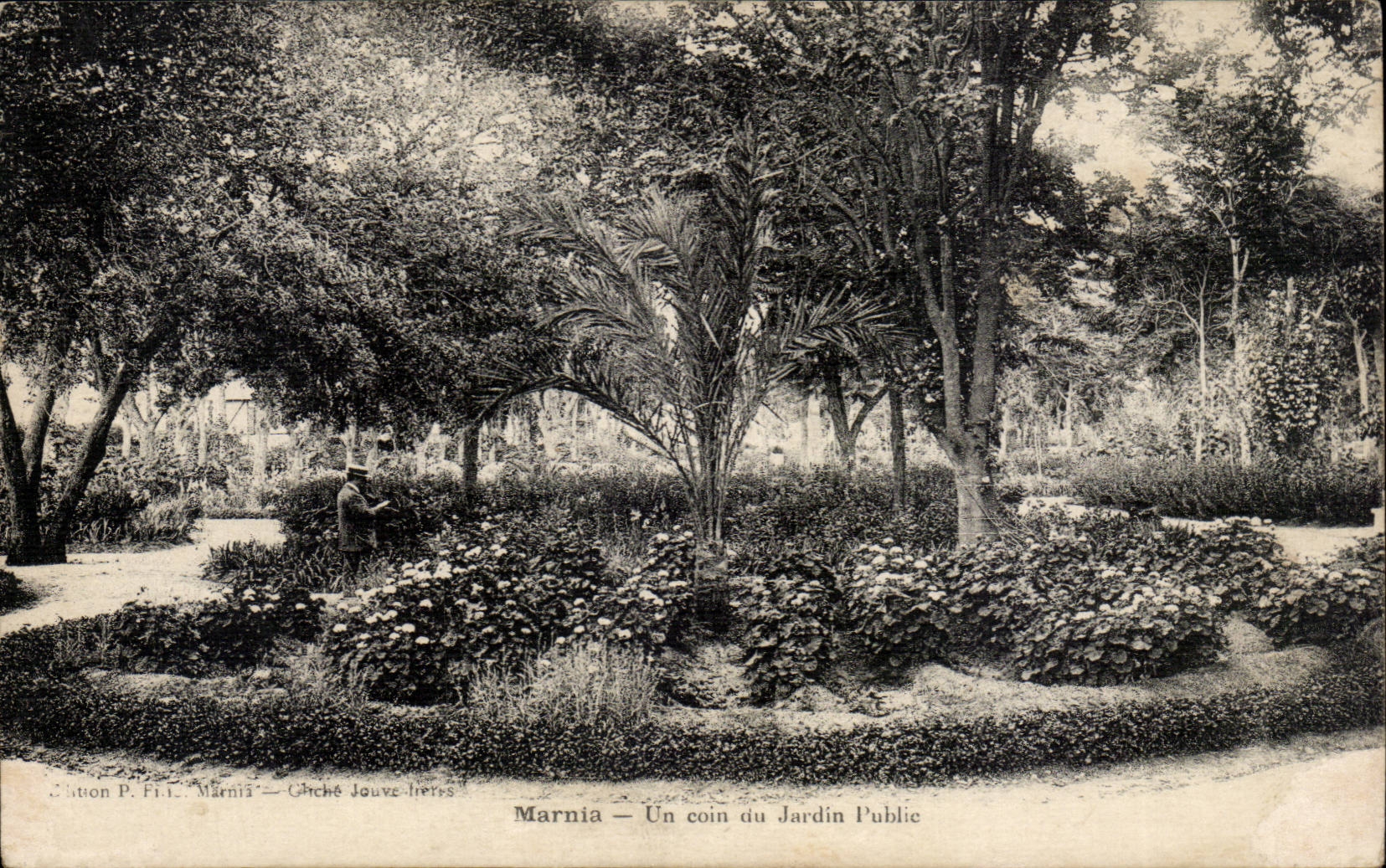Algerie CPA Marnia Un coin du jardin public
