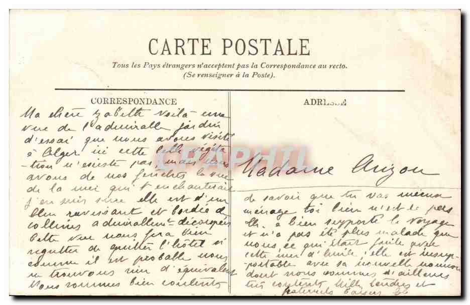 Algerie Alger CPA Jardin d'essaie Allee ds joucas — Back