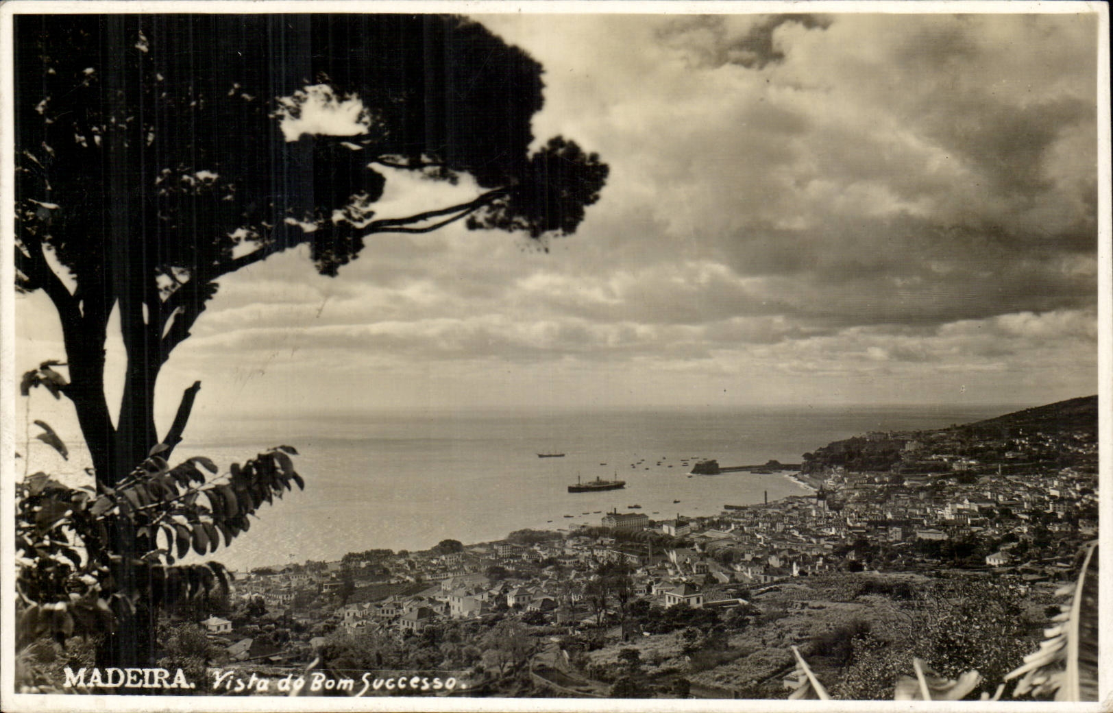 Madeira. Vista do Bom Sucesso — vue panoramique sur la côte et le port — éditeur non visible