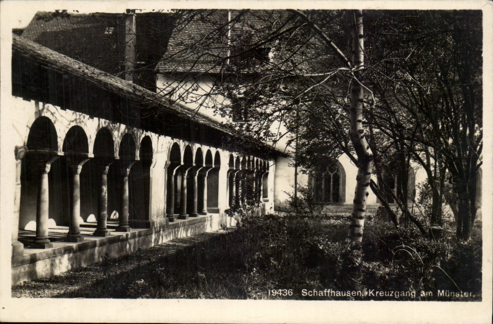 CPA Schaffhausen Kreuzgang am Munster