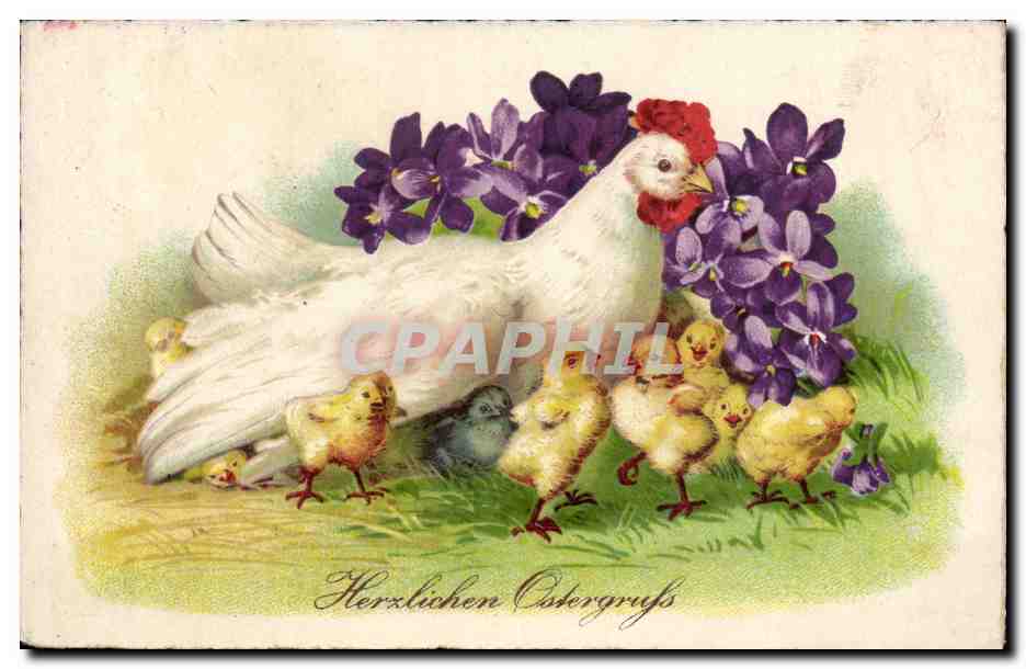 CPA poule et poussin Fantaisie