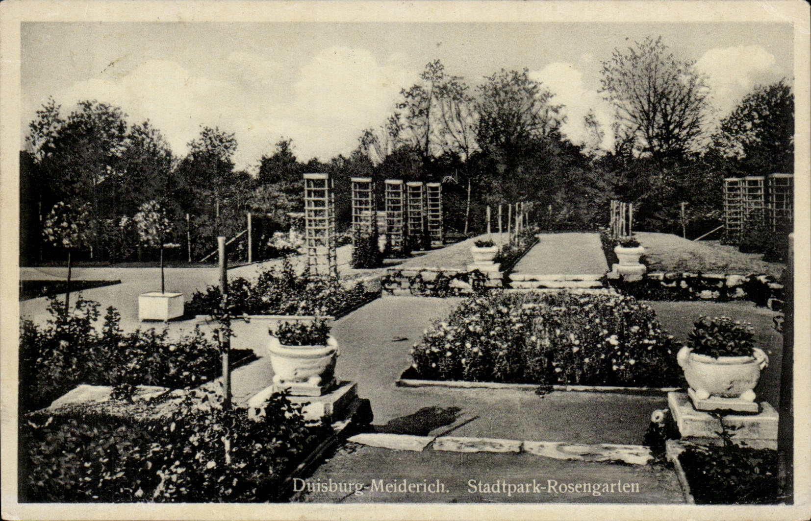 CPA Duisburg Meiderich Stadtpark Rosengarten