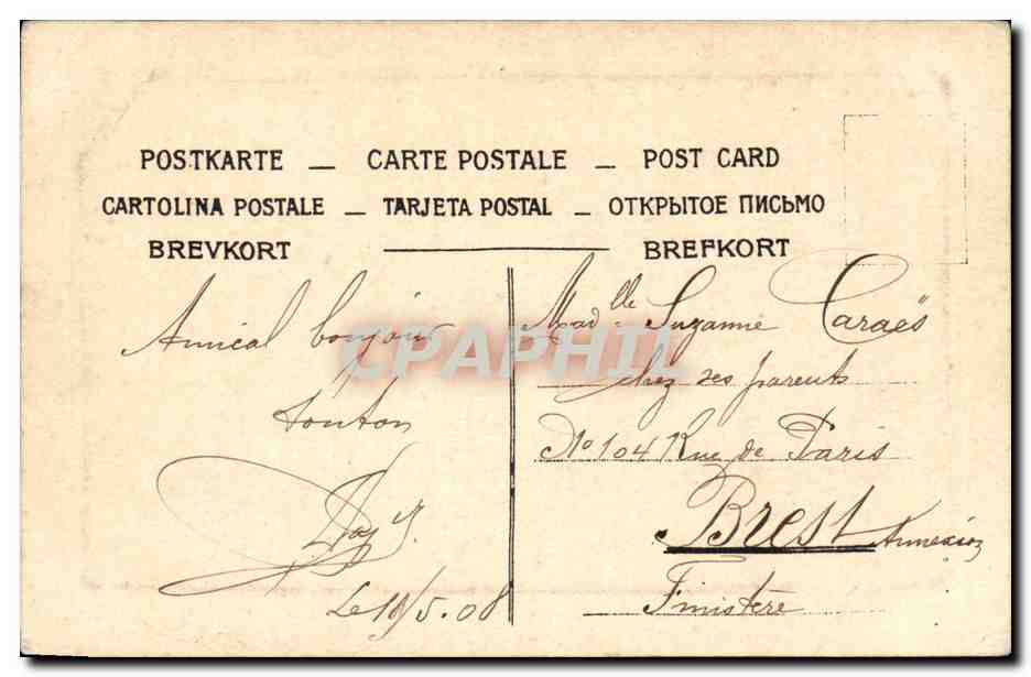 Scène de rivière avec vaches — éditeur non identifié — n° de série non visible — Verso
