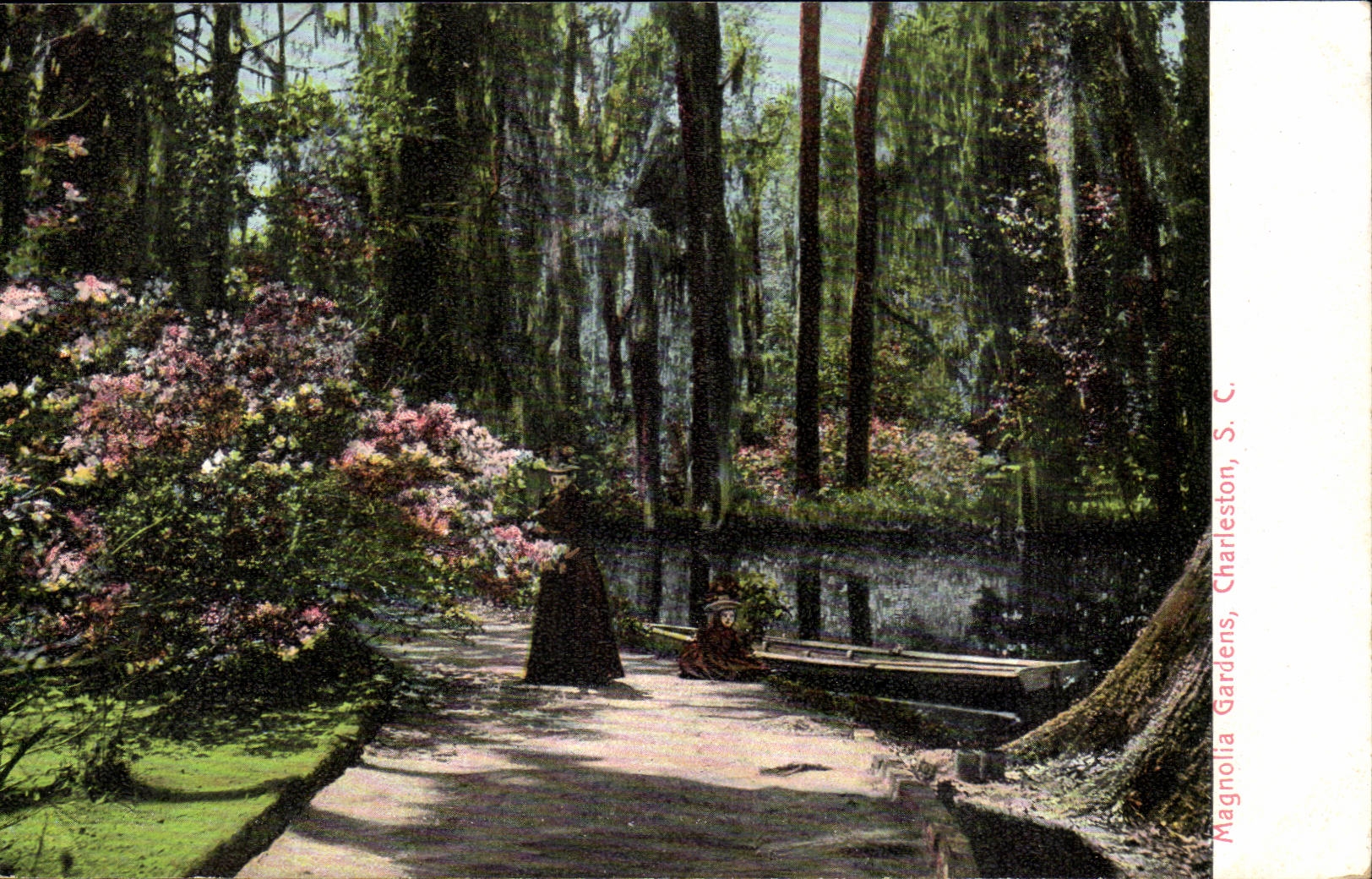 CPA Magnola Gardens Charleston SC